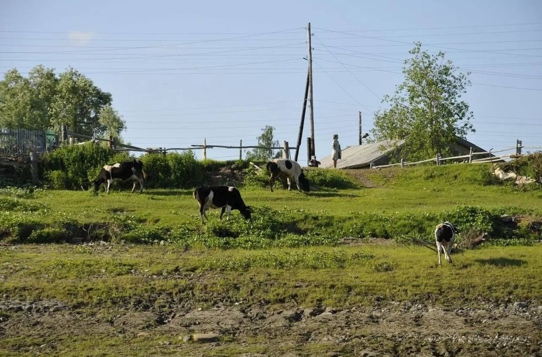 Захарвань, берег реки.