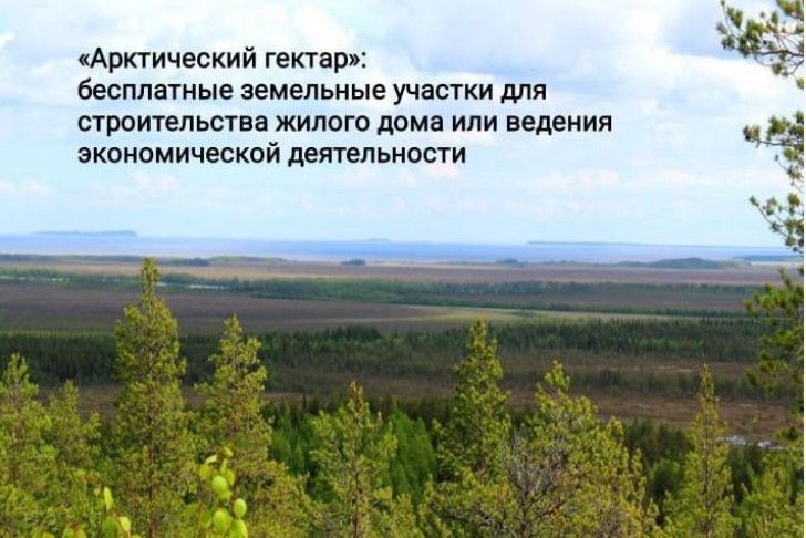 Жителям Коми предлагают пройти онлайн-опрос по программе «Гектар в Арктике».