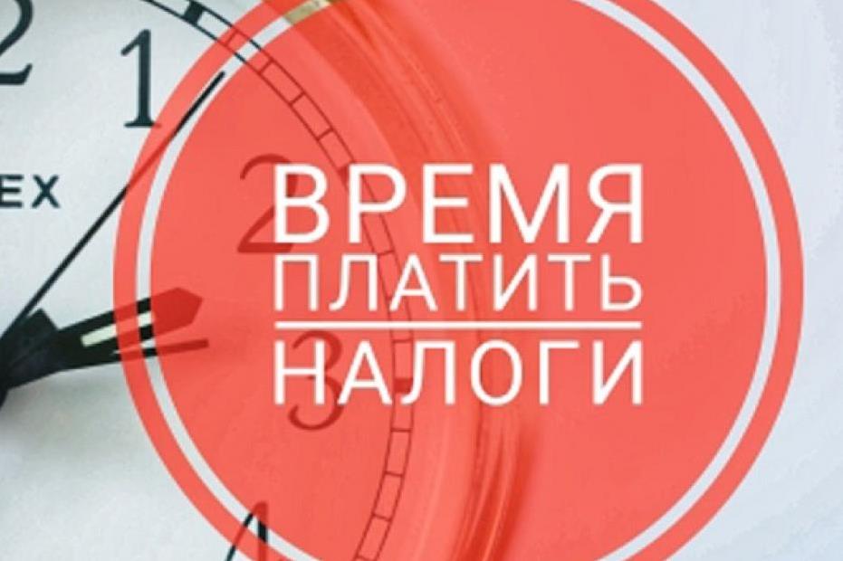 До срока уплаты налогов осталось меньше недели.