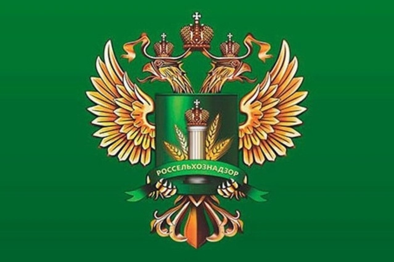 Вниманию предпринимателей!.