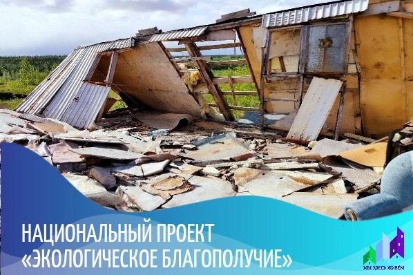 Экологический десант: усинские лесники и нефтяники объединились для очистки леса.