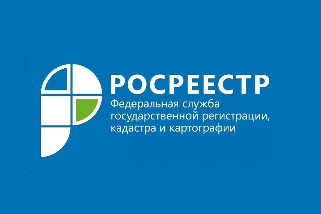 Рейтинг популярности выписок из Единого государственного реестра недвижимости в 2022 году.