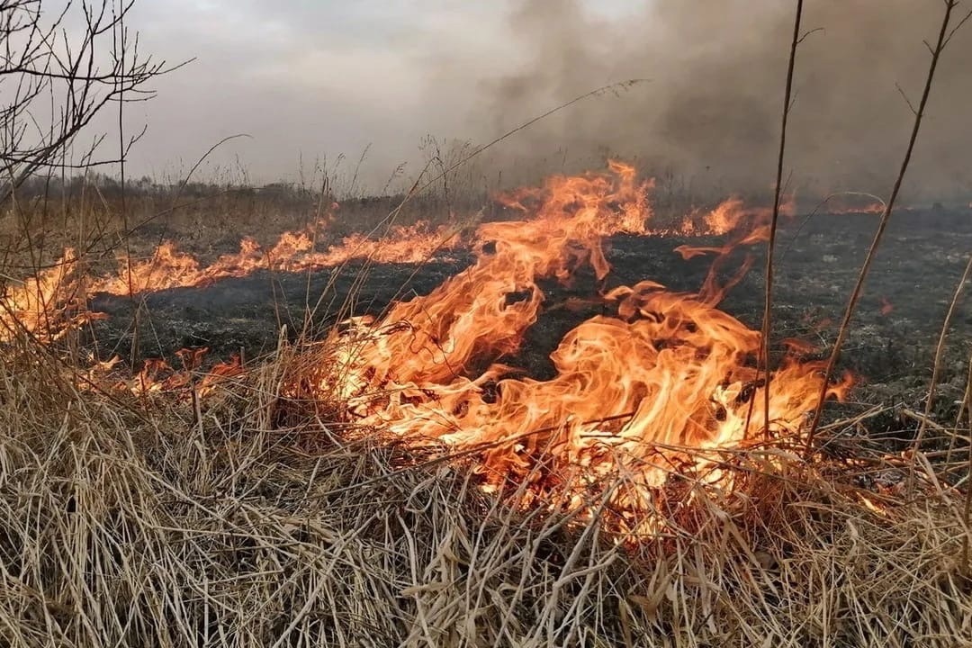 Памятка по предупреждению пожаров на землях сельскохозяйственного назначения в весенне-летний период.