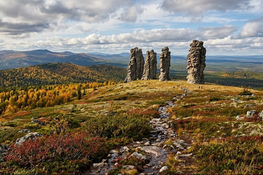 леса Республики Коми.