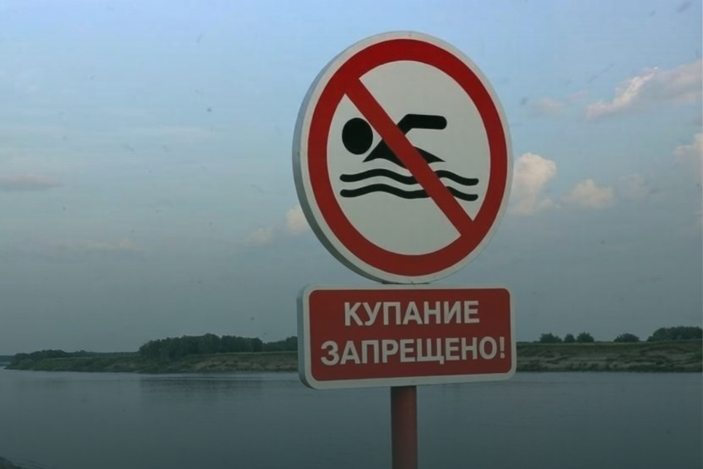 Знак: "купание запрещено" на берегу реки.