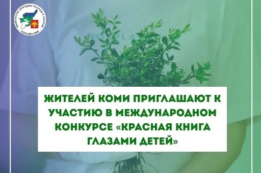 девушка держит саженец в руках.