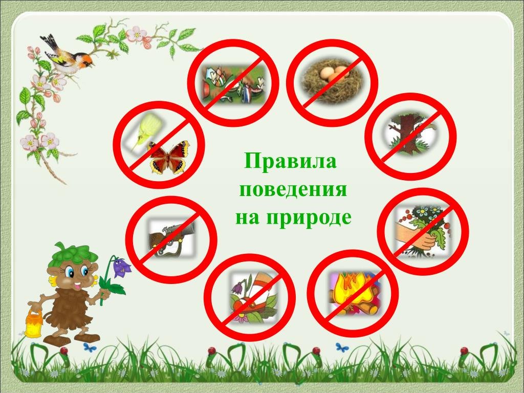 Памятка: как отдохнуть на природе и не навредить здоровью.