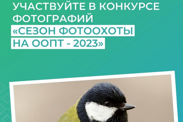 Продолжается приём заявок на участие в республиканском конкурсе фотографий «Сезон фотоохоты на ООПТ - 2023». Продолжается приём заявок на участие в республиканском конкурсе фотографий «Сезон фотоохоты на ООПТ - 2023».