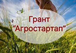Продолжается конкурсный отбор для предоставления гранта «Агростартап» в 2023 году. Продолжается конкурсный отбор для предоставления гранта «Агростартап» в 2023 году.